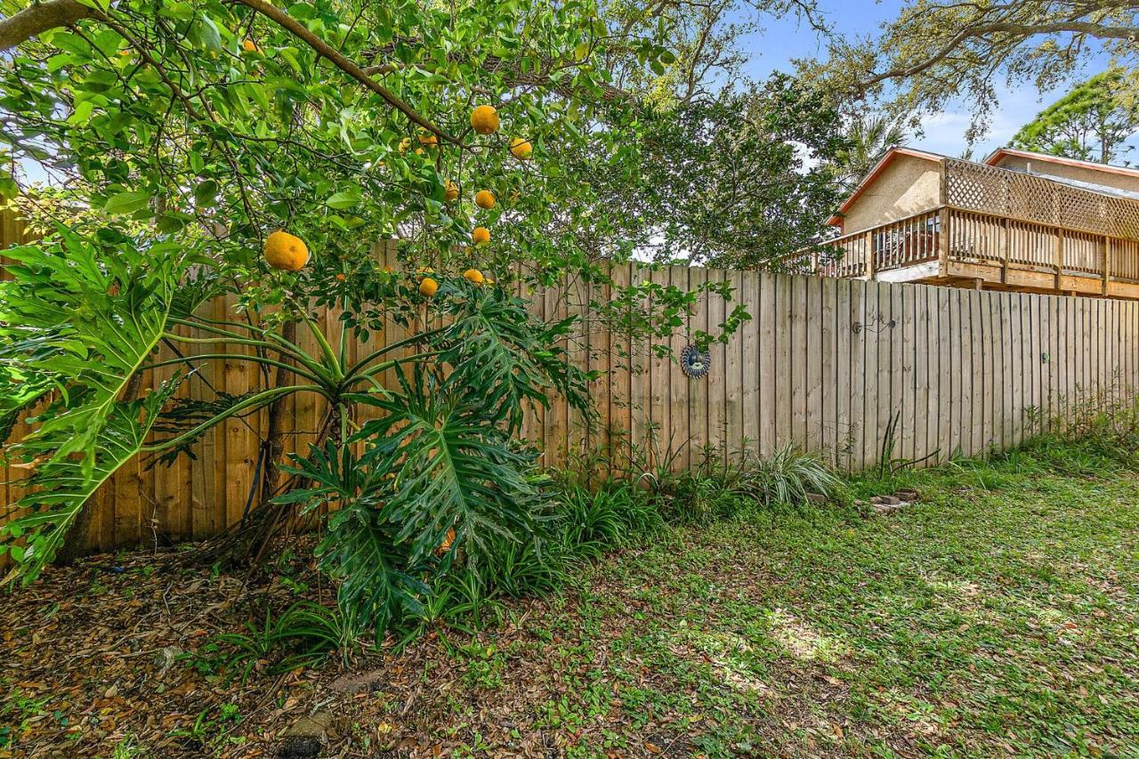 Orange Oasis - Walk To Historic District Villa St. Augustine Exterior foto